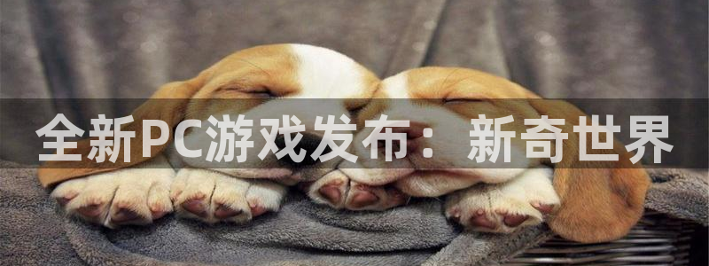 蓝冠娱乐下载：全新PC游戏发布：新奇世界