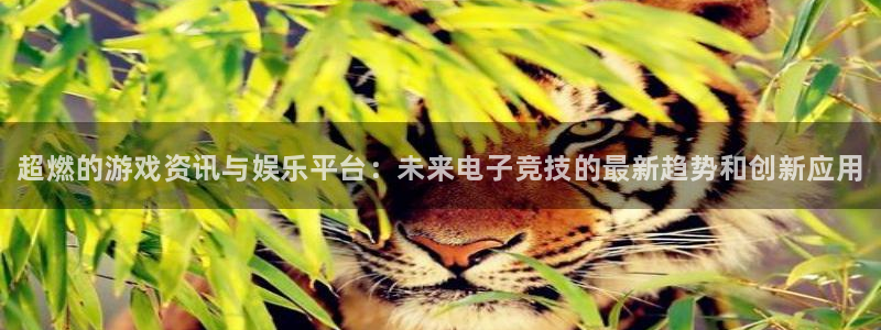 蓝冠娱乐官方平台：超燃的游戏资讯与娱乐平台：未来电子竞技的最