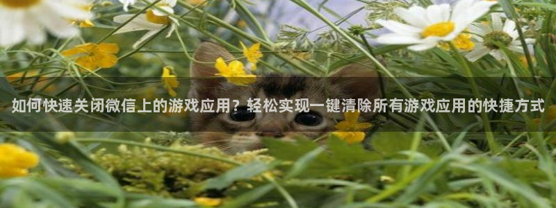 蓝冠娱乐测速：如何快速关闭微信上的游戏应用？轻松实现一键清除