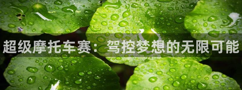 蓝冠娱乐测速：超级摩托车赛：驾控梦想的无限可能