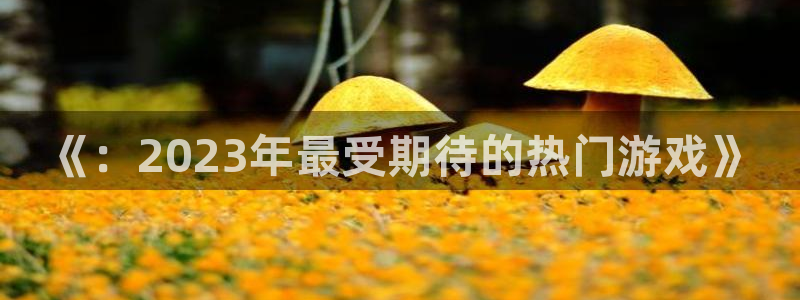 蓝冠在线：《：2023年最受期待的热门游戏》