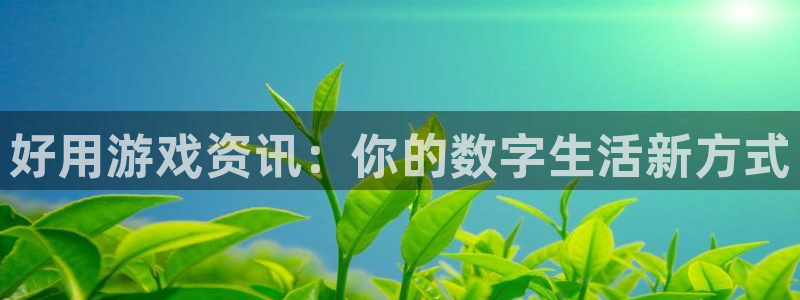 蓝冠招商首页app：好用游戏资讯：你的数字生活新方式
