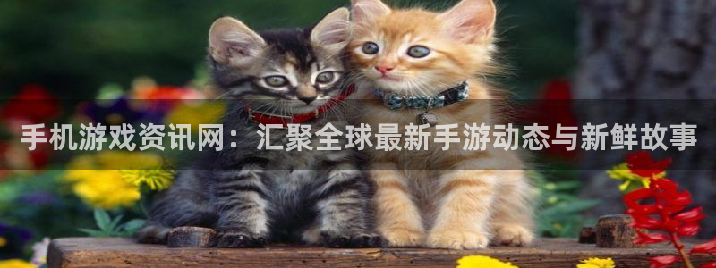 蓝冠娱乐官网