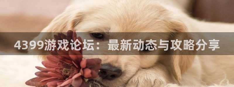 蓝冠娱乐官网：4399游戏论坛：最新动态与攻略分享