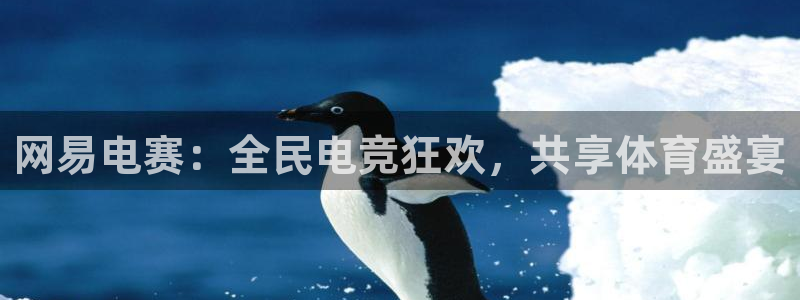 蓝冠官方：网易电赛：全民电竞狂欢，共享体育盛宴
