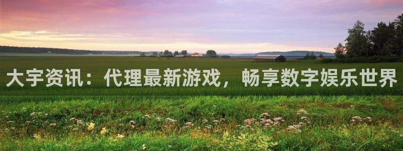 蓝冠娱乐平台登陆：大宇资讯：代理最新游戏，畅享数字娱乐世界
